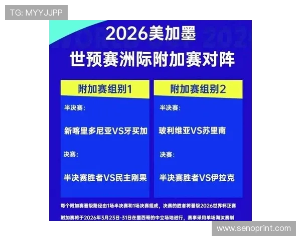 2026世界杯积分榜最新更新，详细解析各国球队排名变化趋势